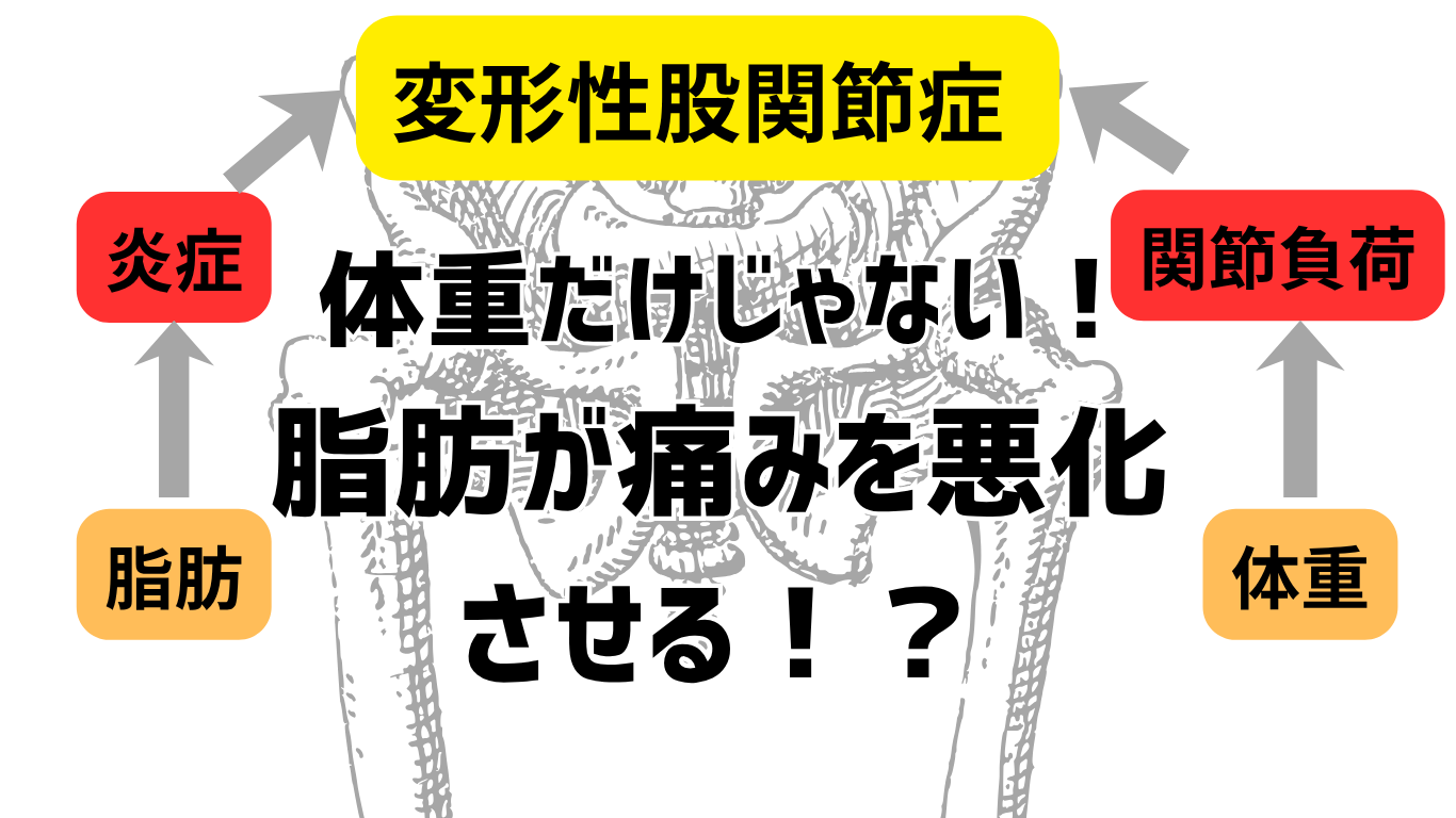 変形性股関節症とダイエット　体重だけではない！体脂肪が股関節痛を悪化させる
