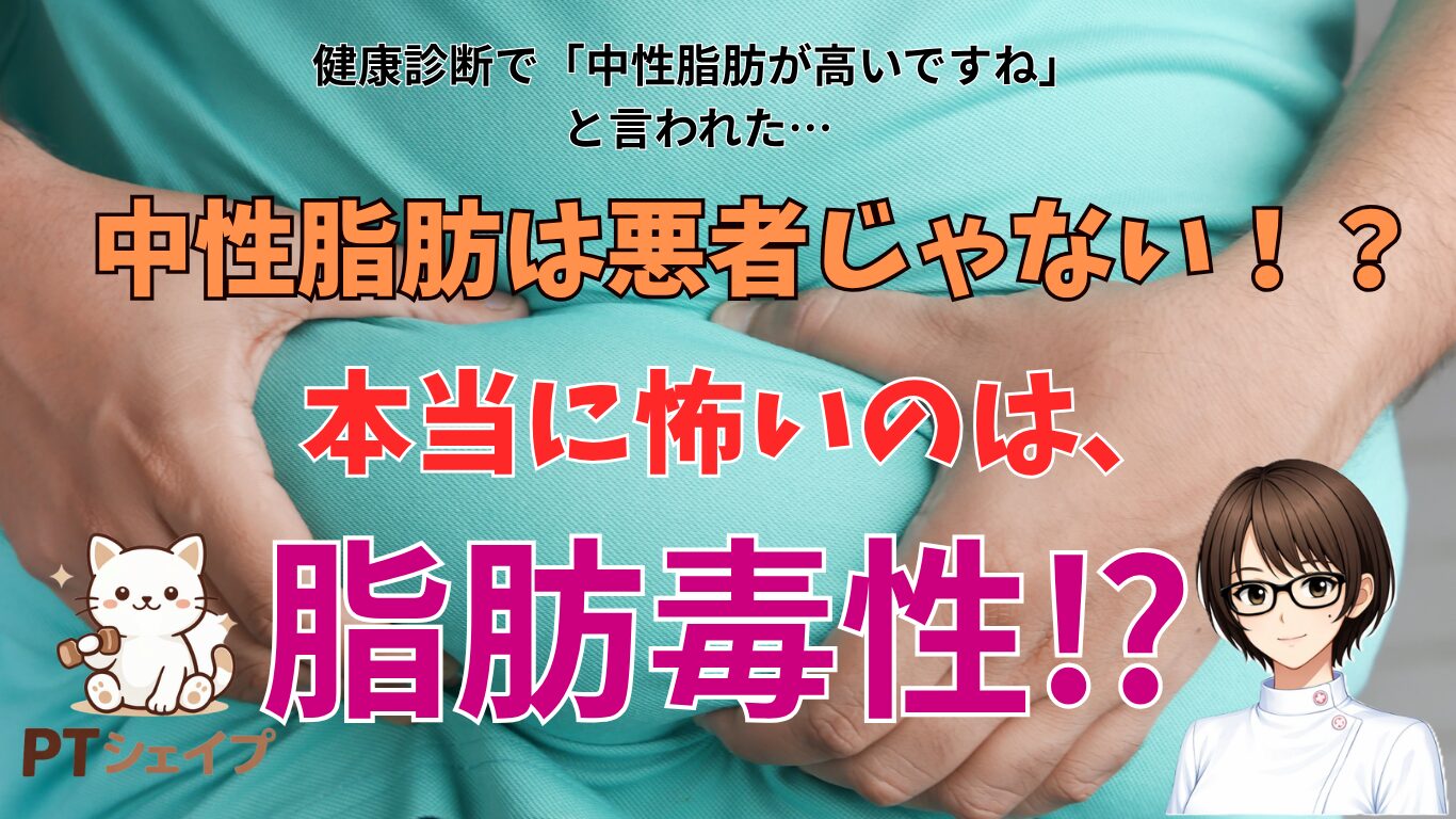 中性脂肪とは？本当の役割と脂肪毒性の仕組みを理学療法士がわかりやすく解説