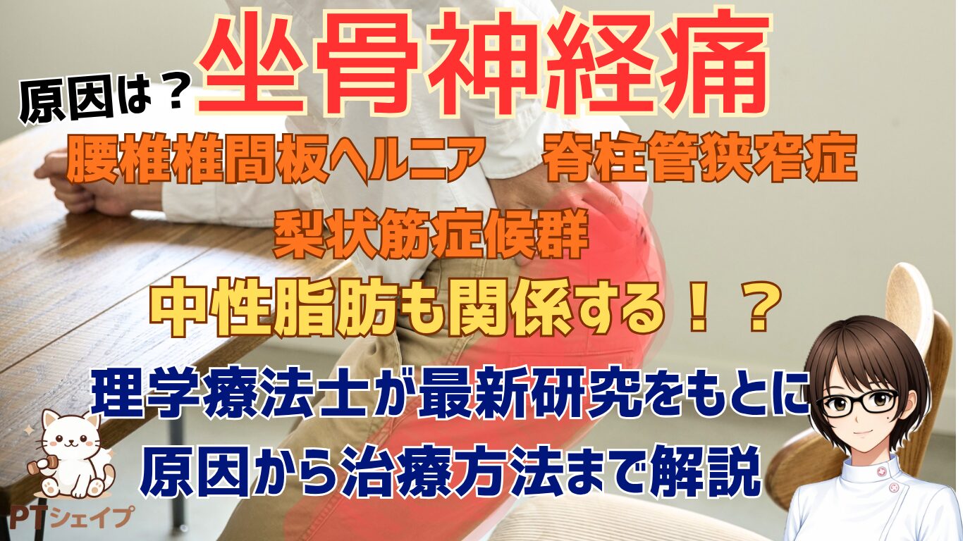 坐骨神経痛の原因・症状・治し方ー理学療法士が運動・再発予防まで解説