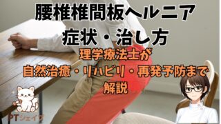 腰椎椎間板ヘルニアの症状・治し方～理学療法士がリハビリ・再発予防まで解説