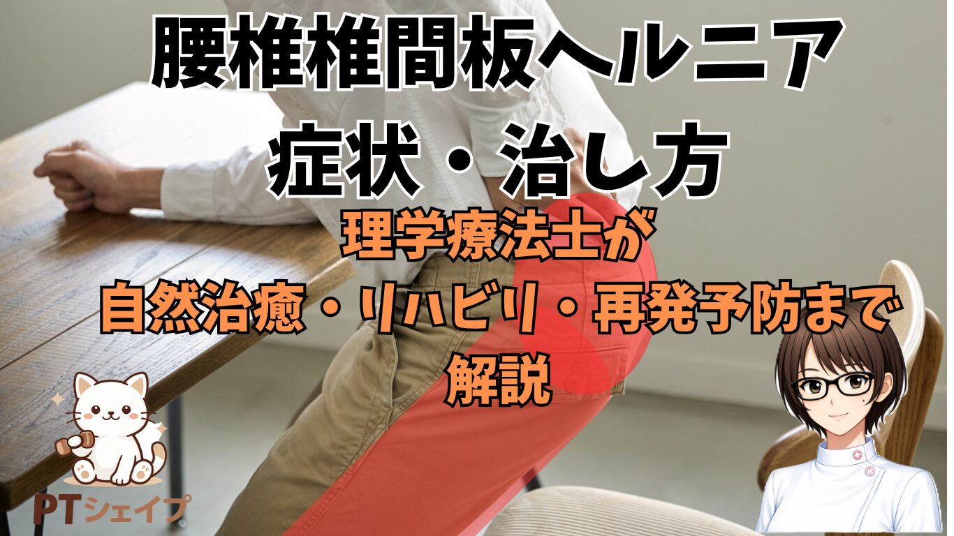 腰椎椎間板ヘルニアの症状・治し方～理学療法士がリハビリ・再発予防まで解説