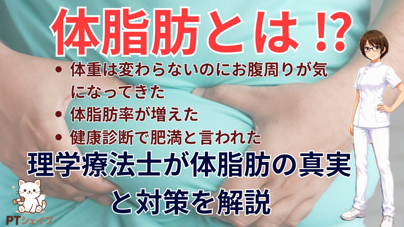 体脂肪とは？体脂肪率・内臓脂肪の目安と減らし方を理学療法士が解説